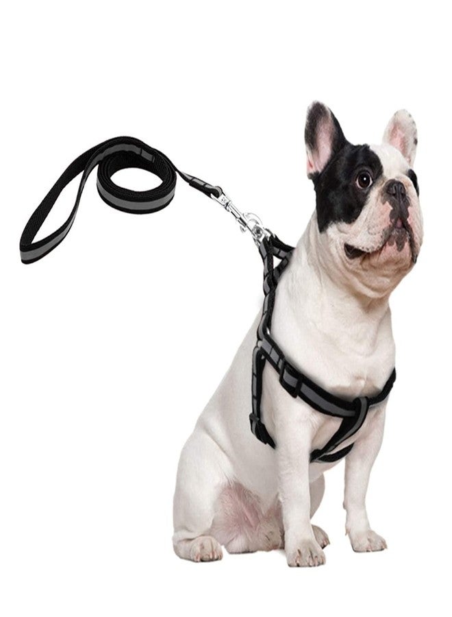 Pups&Pets Adjustable Soft Nylon Strip Radium Dog Harness & Leash Set for Puppies and Small Breed Dog Reflected Harness & Leash Set 15mm ((Black Color) - Image 2